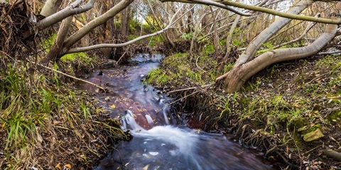 flowingcreek-2.jpg
