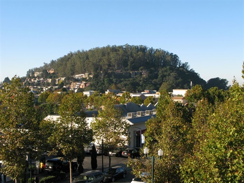 Photo of Albany Hill