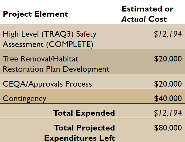 Project element and estimated or actual cost table