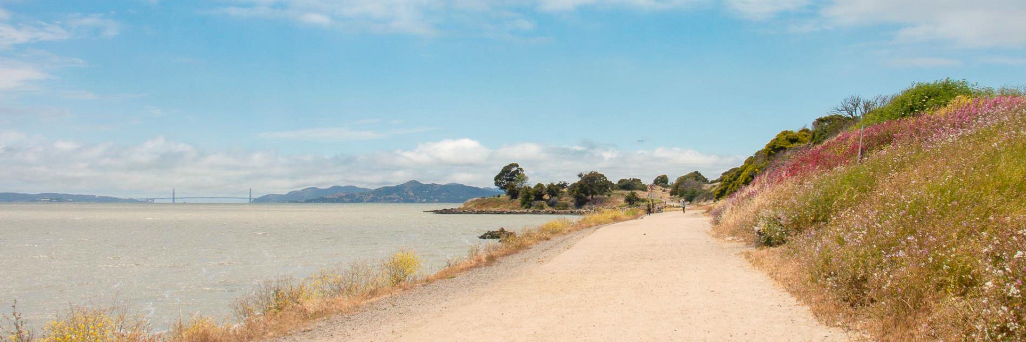 landscape-2.jpg