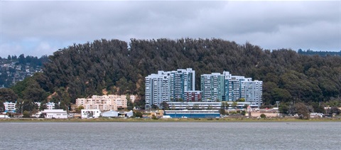 555 Pierce Street, view from Albany Bulb