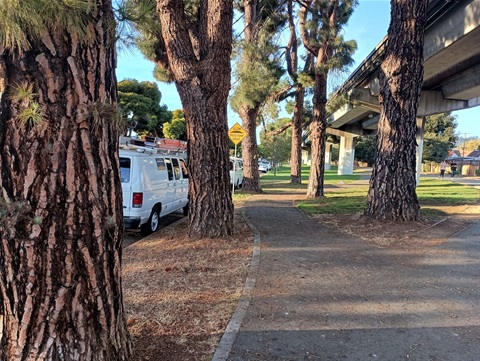 Tree by BART.jpg