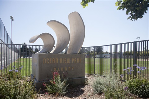 Ocean View Park Rose Wave