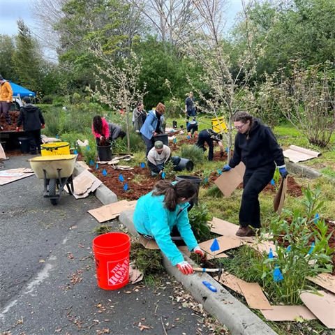 Group of people working in garden next to street