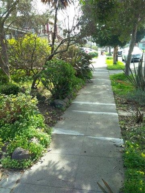 Sidewalk Shaving.jpg