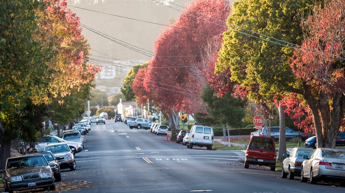 Street Sweeping.jpg
