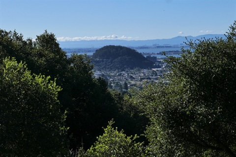 albany-hill_crop.jpeg