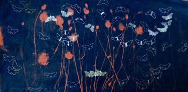 An image of Susan Chainey's photo 