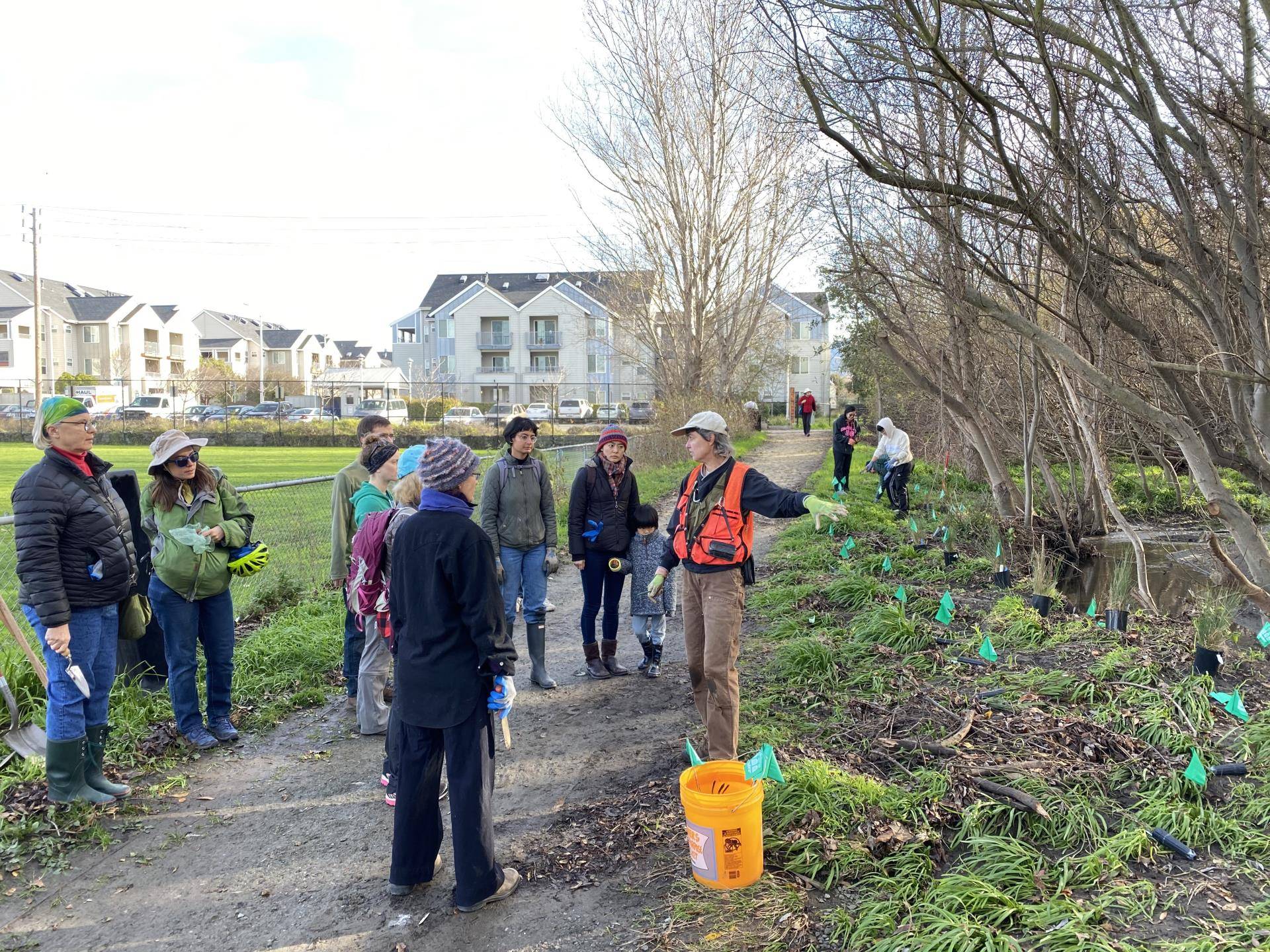 Codornices Creek Volunteer Day 2020