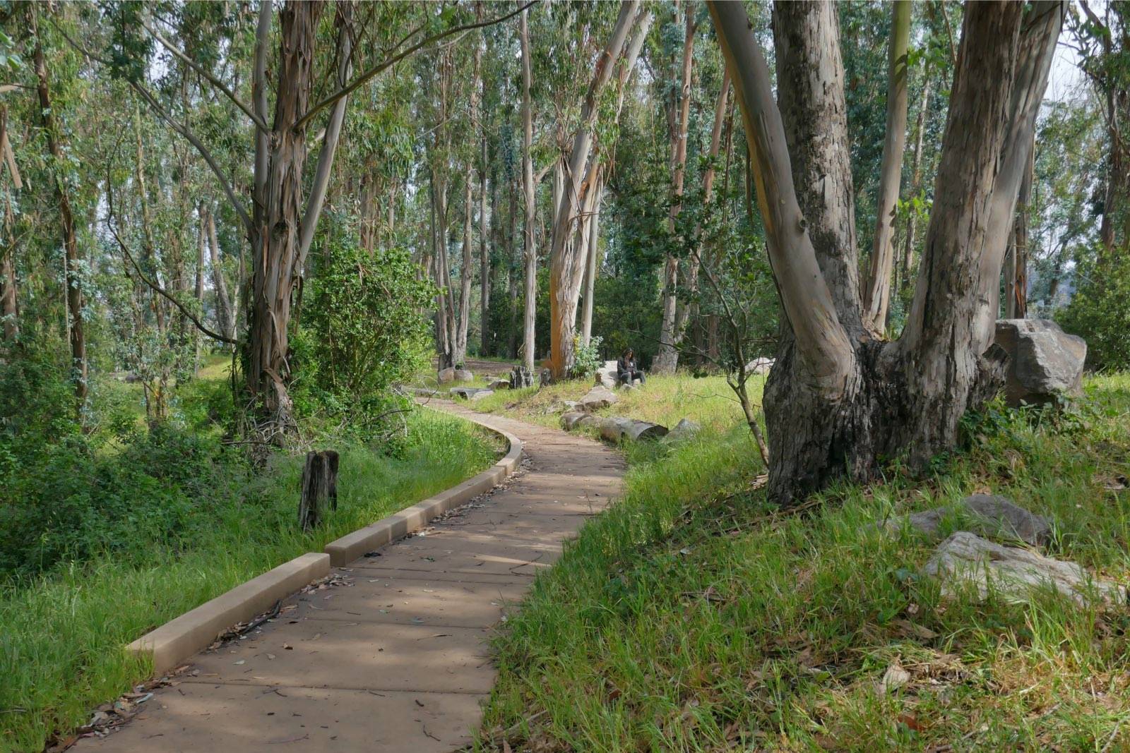 Albany Hill Access Path