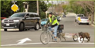 cyclist