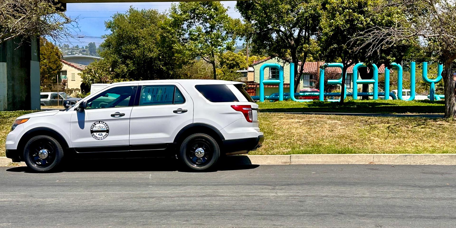 Police car in front of Albany sign