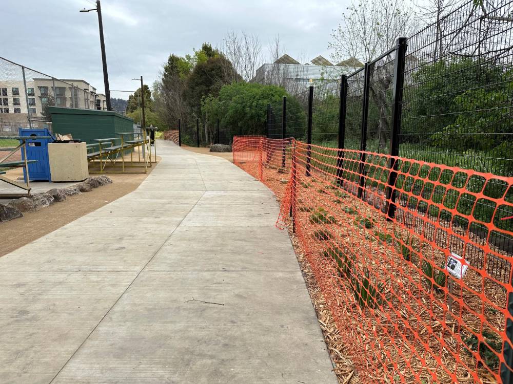 Codornices Creek Trail