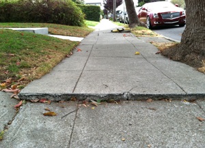 Cracked sidewalk