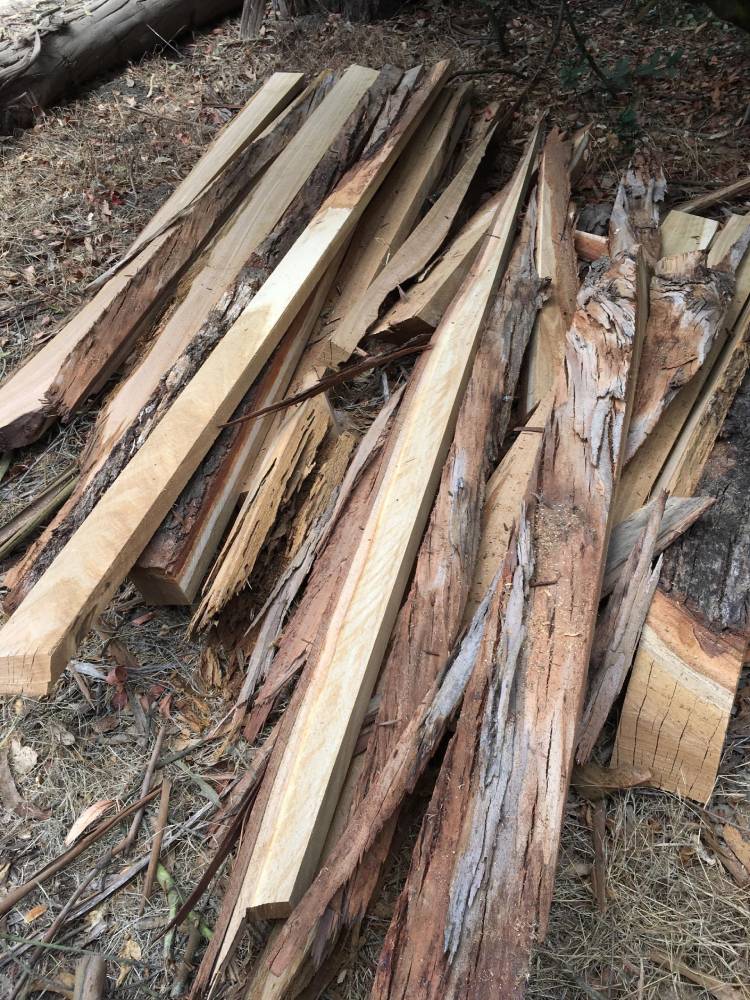 Lumber Sep22