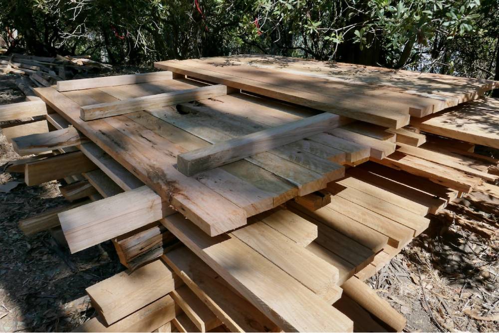 Milled Lumber on Albany Hill October 2022